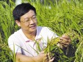 強民族種業，還需跨過四道坎兒