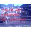 出售肉牛養殖肉牛山西肉牛山西養牛肉牛價格