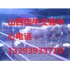 肉牛山西肉牛專業的山西肉牛場山西紅旗牧業