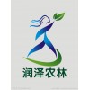 美國(guó)竹柳
