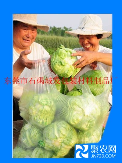 透明環保蔬菜袋_副本