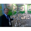 河北高產省工棉花種——華農16號