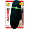 冬瓜種子:金記國優六號F-006