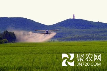 中央一號文件明確七項農業改革