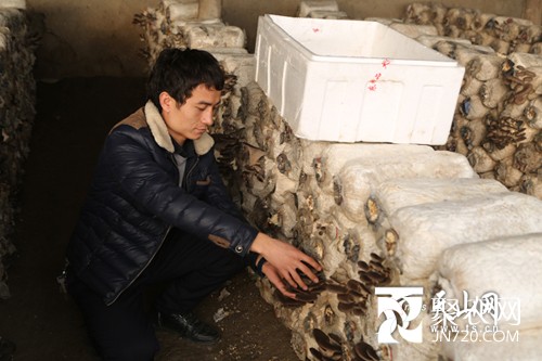 “庭院種植食用菌”富了新和縣農民口袋