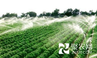 農業部增糧下達“狠”任務: 治土節水種土豆