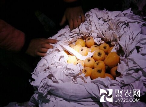 昆明:“小手電”照亮云南水果“大市場”