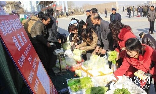 甘肅永靖向春節市場投放百噸平價儲備蔬菜