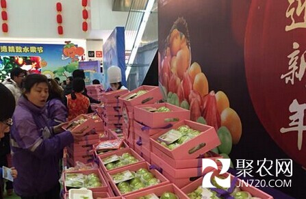 精致臺灣水果濟南受熱捧 牛奶澆灌 直飛濟南