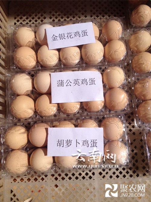 王發東的創業之路:讓雞吃中草藥 下生態蛋