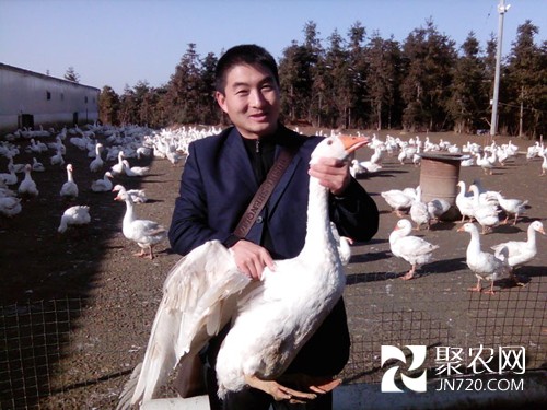 周文：扎根農(nóng)村闖天地 致富愿當(dāng)領(lǐng)路人