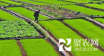 土地確權相關技術標準和檢查驗收辦法將出臺