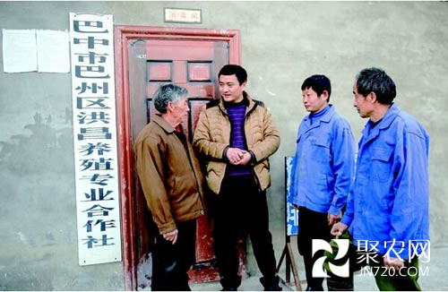 帶動(dòng)鄉(xiāng)鄰致富的“豬老倌”