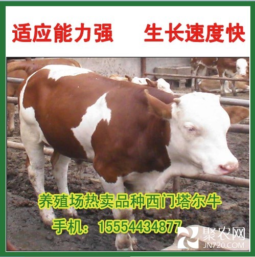QQ圖片20140504145459