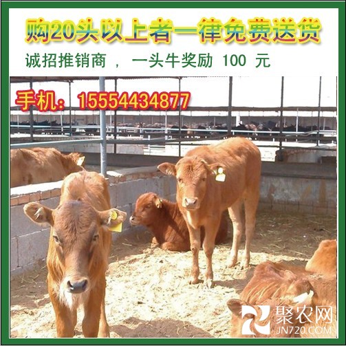 QQ圖片20140504150225