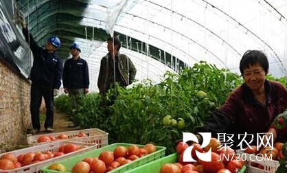 天津“電保姆”為京津冀菜籃子“體檢”