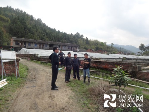 福建清流:考察泥鰍養殖和良種場建設