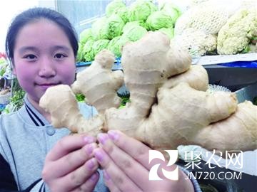 山東青島：漲40%！ “姜你軍”卷土重來