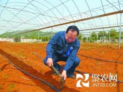 “辣椒人”老賀 勇敢面對創業風險