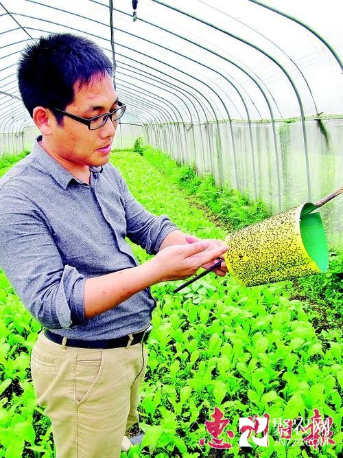 安徽小伙惠州市博羅辦有機農(nóng)場