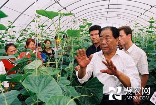 王樂義:讓北方百姓冬天吃上新鮮菜