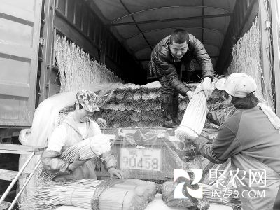 北京新發地:蔬菜價格高位運行