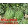 山東油桃/西瓜產(chǎn)地價格求購