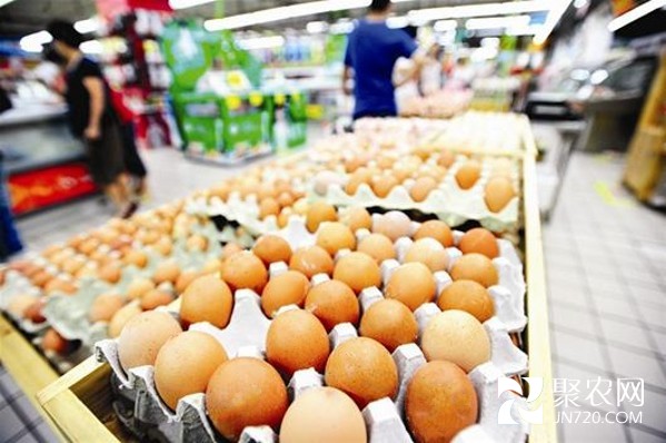 2月下旬以來全國雞蛋價格降幅超17%