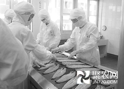 今年第一季度廣東汕頭水產品出口遭遇“寒流”
