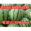 山東西瓜價格15192967868