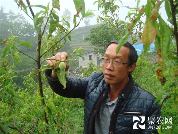 致富能手史開陽:敢教荒山變桃源