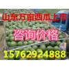 山東西瓜產地西瓜批發價格