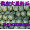 山東西瓜產地供應優質西瓜