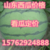 山東西瓜批發(fā)價格