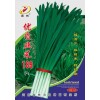 優質韭菜189F1種子
