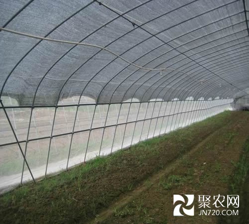 溫室大棚設施設備通風目的