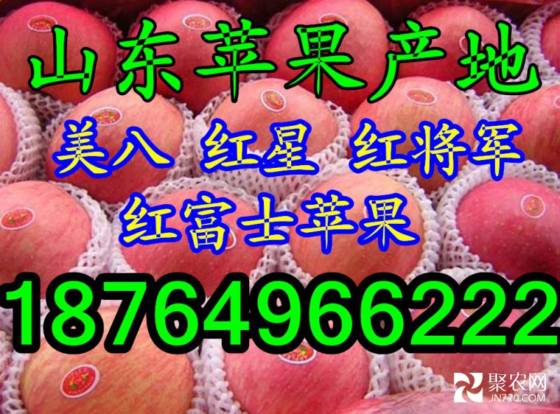 蘋果。。網字
