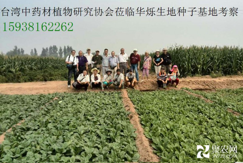 集體照片18