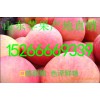 15266669339紅星蘋果收購價格