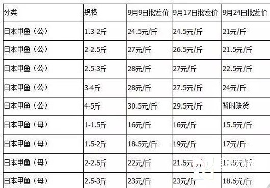 圖片7