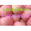 13668696760山東紅富士蘋果產地直銷價格