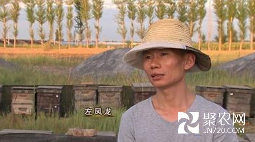 圖片1
