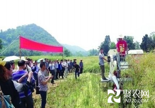 圖片13