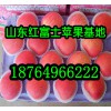 山東紅富士蘋果批發基地紅富士蘋果價格行情