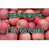 山東沂蒙山銷(xiāo)售優(yōu)質(zhì)紅富士蘋(píng)果
