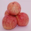 今日紅富士蘋(píng)果價(jià)格走勢(shì)