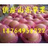 18764958222山東紙袋/膜袋/紙夾膜紅富士蘋果價(jià)格