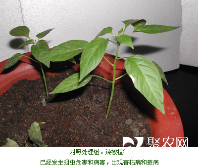 QQ截圖20150925090436