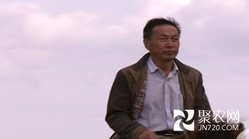 圖片12