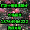 山東紅富士蘋果價(jià)格紅富士蘋果今日價(jià)格